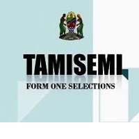 Form One Selection for 2026 intake – Tamisemi